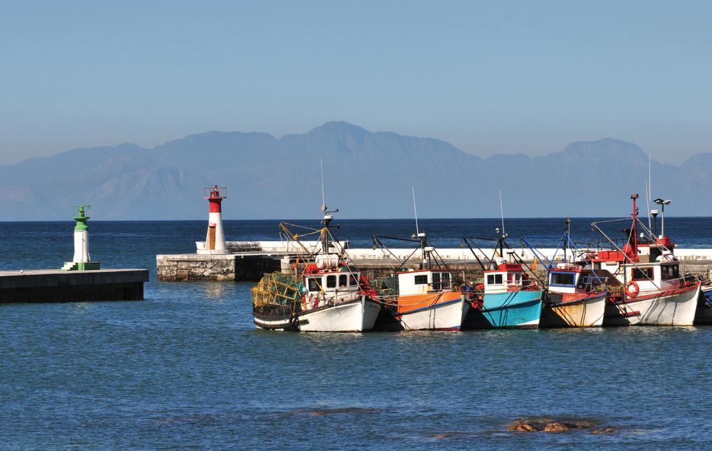 214 Harbour Bridge Daire Cape Town Dış mekan fotoğraf
